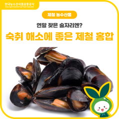 연말 잦은 술자리엔? 숙취 해소에 좋은🧡제철 홍합🧡 바로가기