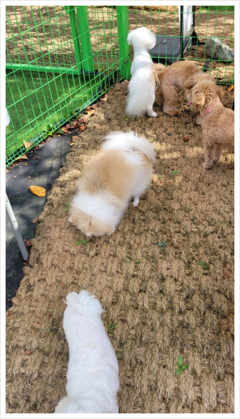 애원카페 이미지