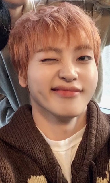 디오르빗헤어 이미지