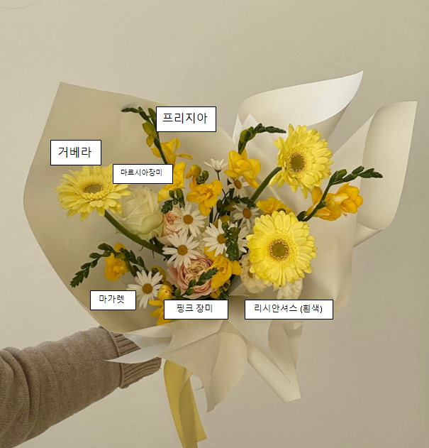 맨디데이즈 이미지