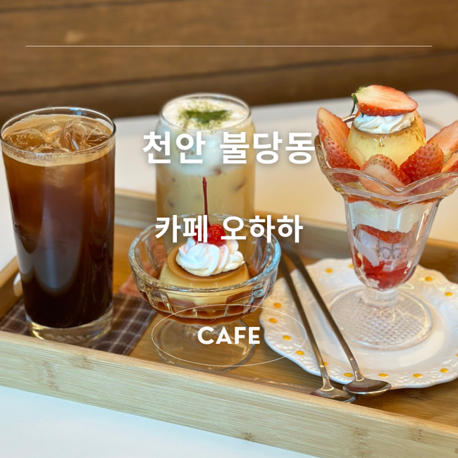 오하하 이미지