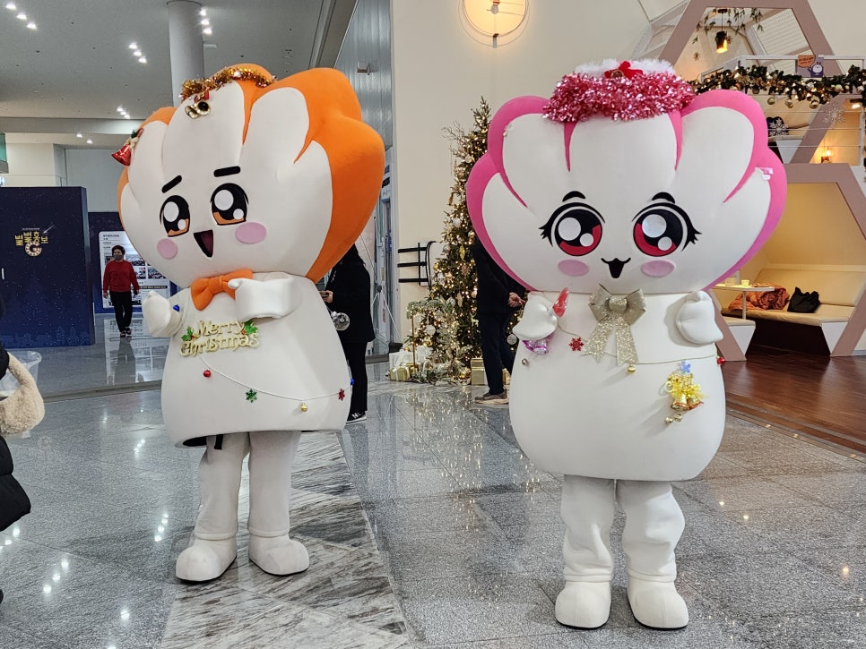 홍보성 이미지