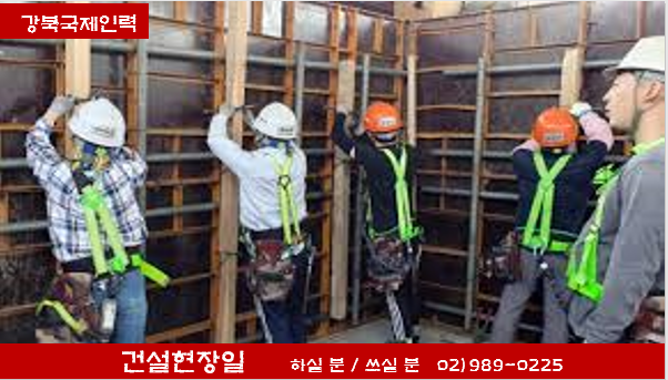 국제인력 직업소개소 이미지