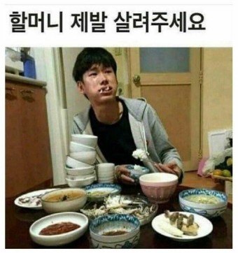 진도막회 이미지