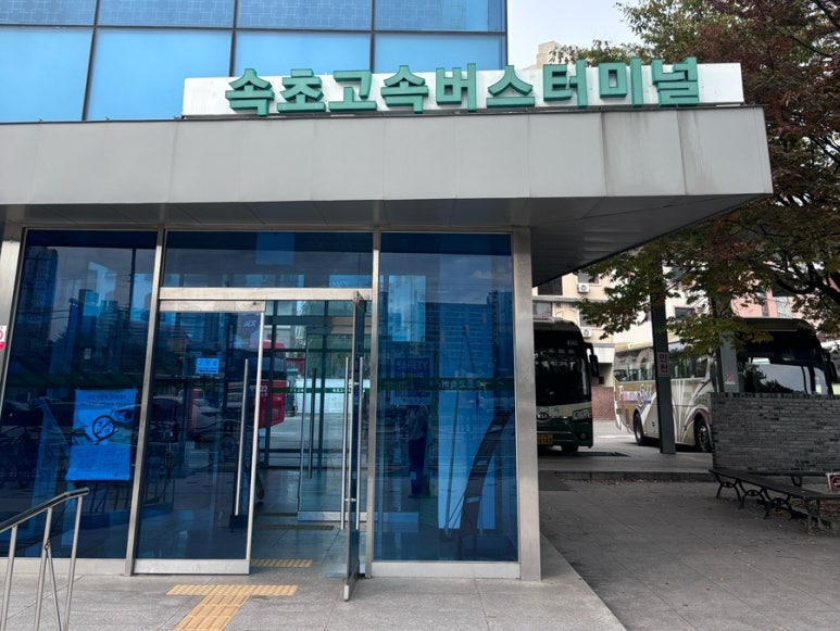 뽕마루속초점 이미지