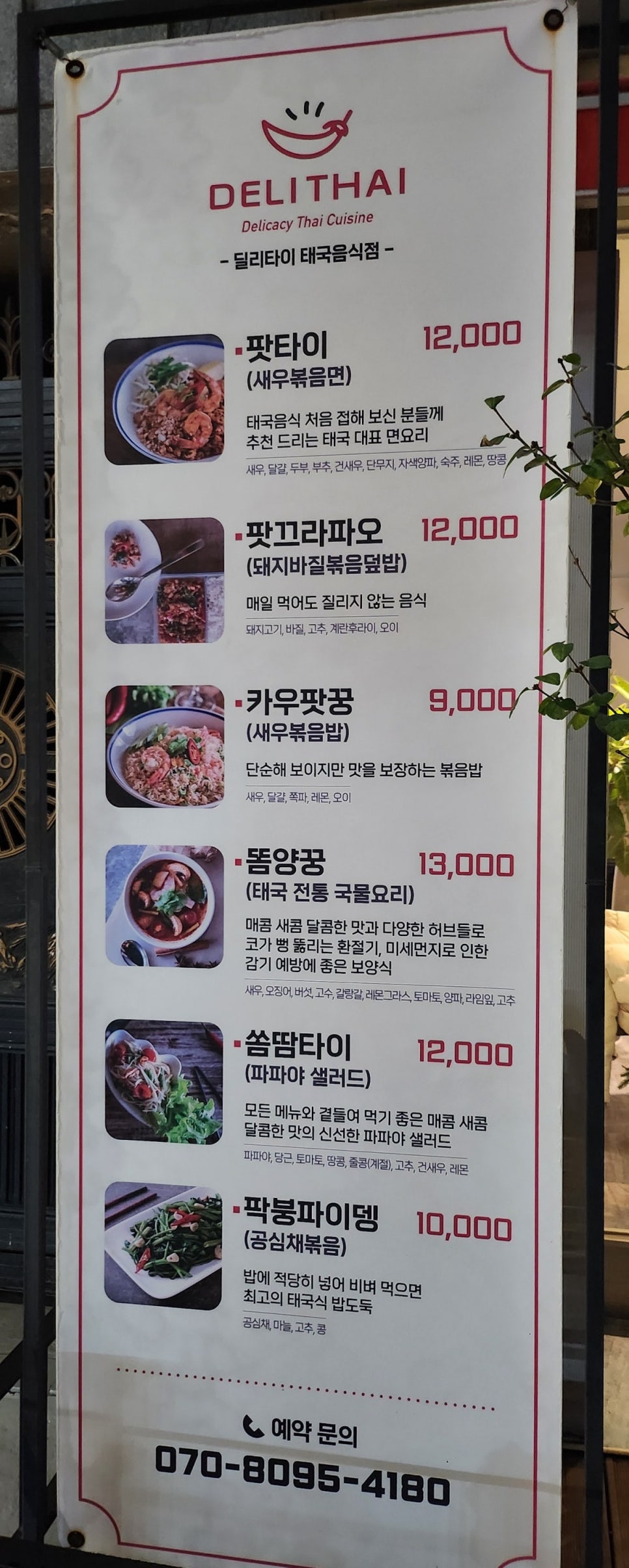 딜리타이 이미지