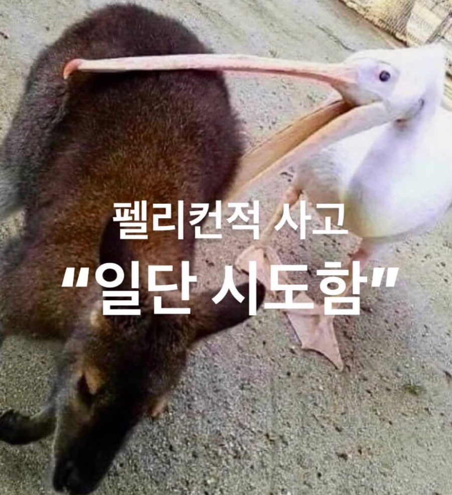 고인당 이미지