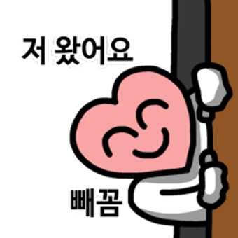 세이폴댄스 이미지