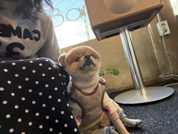 카페반 이미지