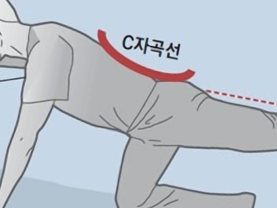 숑숑짐 이미지