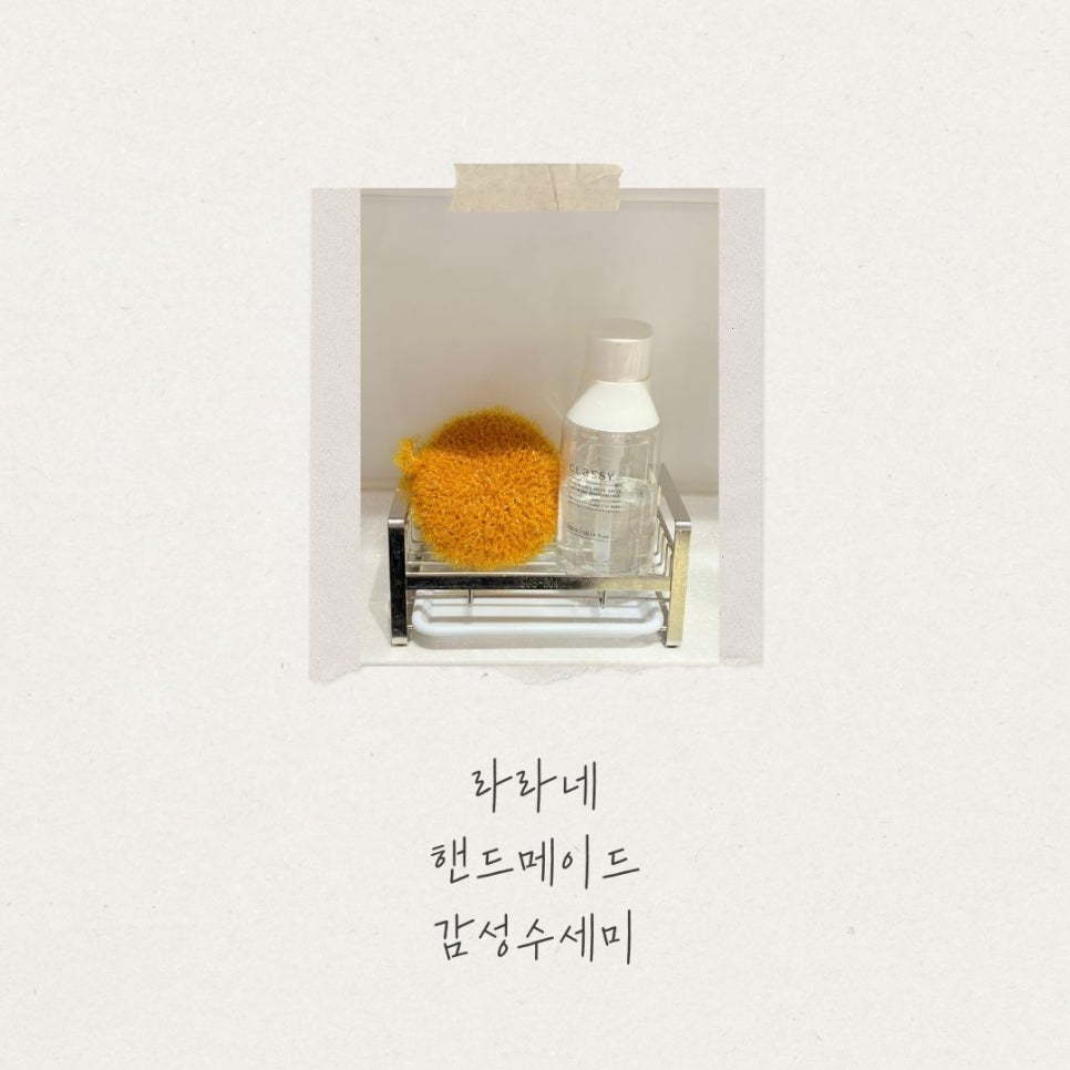 라라네 이미지