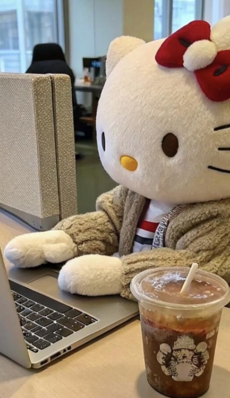 고미사 이미지