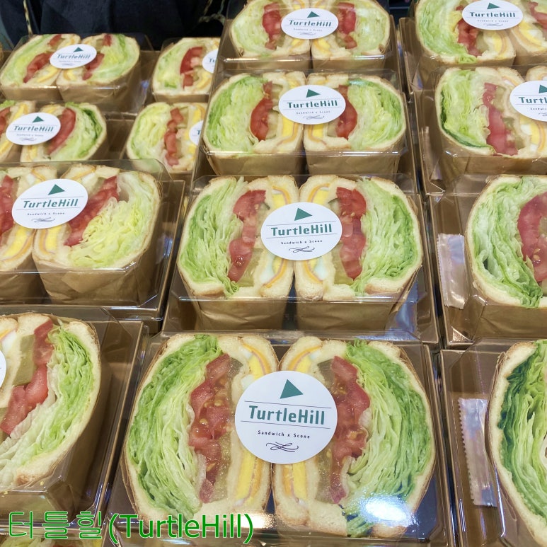 터틀힐 이미지