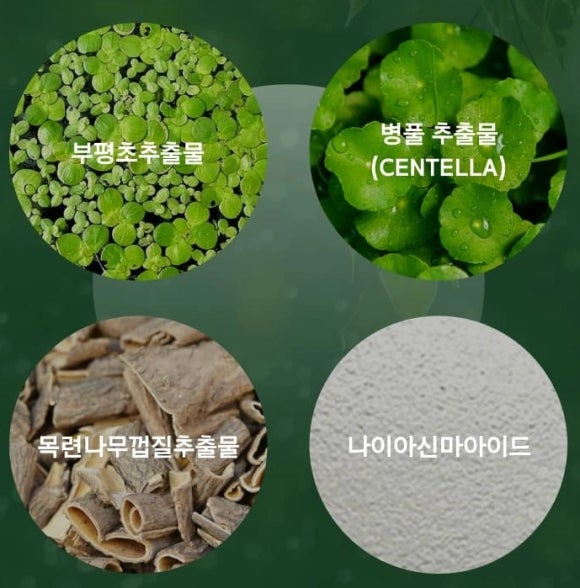 주식회사 더록시 이미지