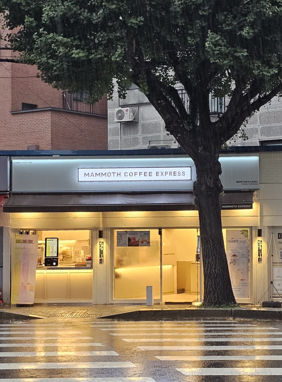 매머드익스프레스서강대 이미지