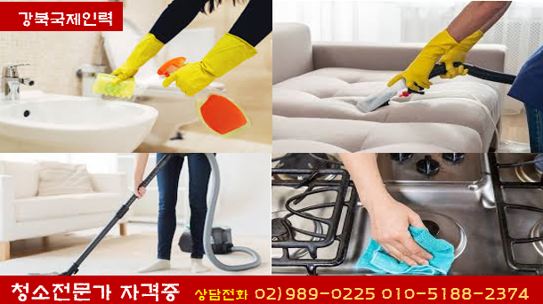 국제인력 직업소개소 이미지