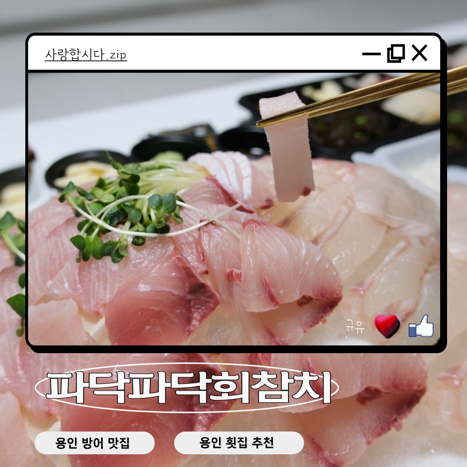 파닥파닥회참치 이미지
