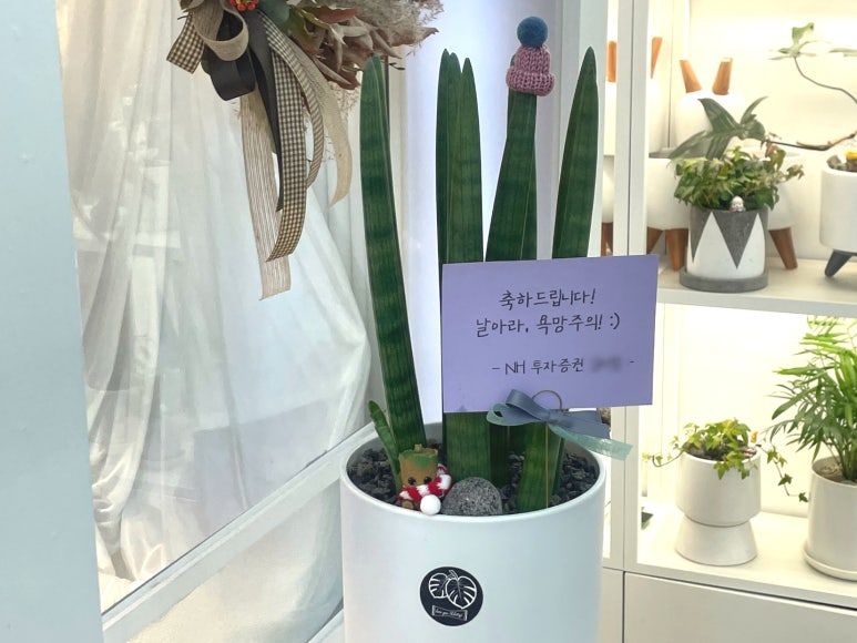 승진샵 이미지