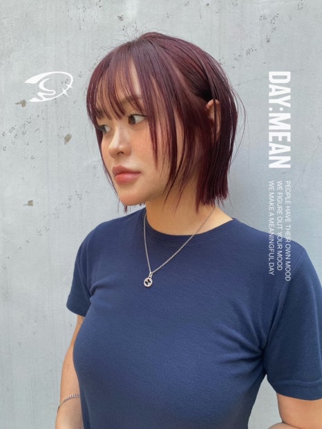 데이민 이미지