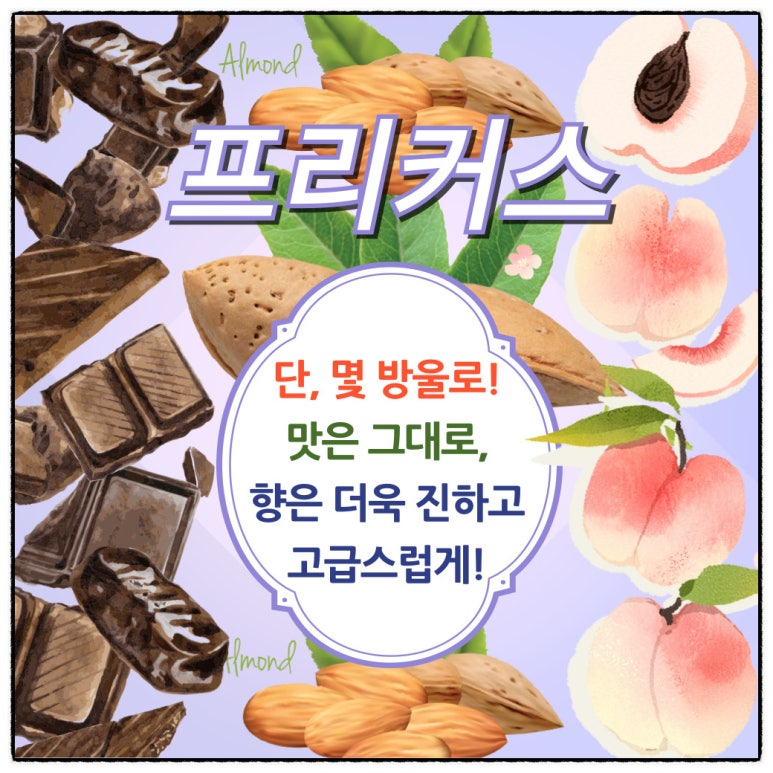 프리커스 이미지