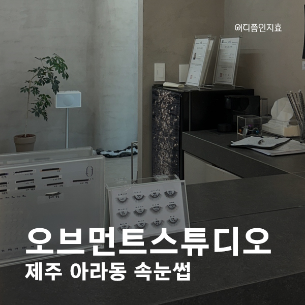 오브먼트 이미지