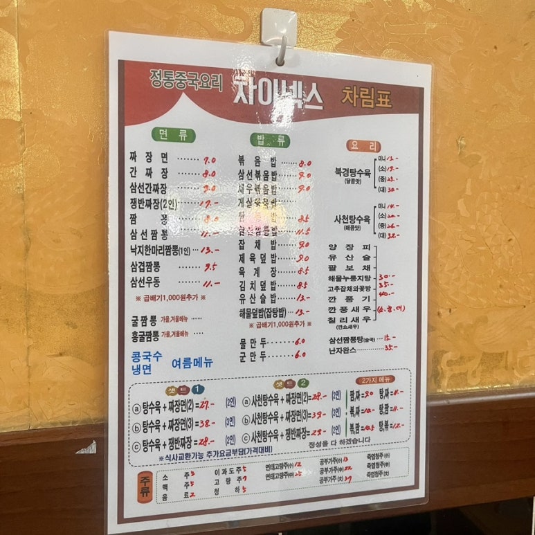 차이넥스 이미지