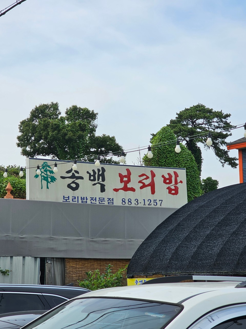 생생보리밥 이미지