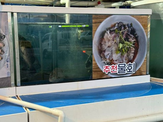 진보양푼이물회 이미지