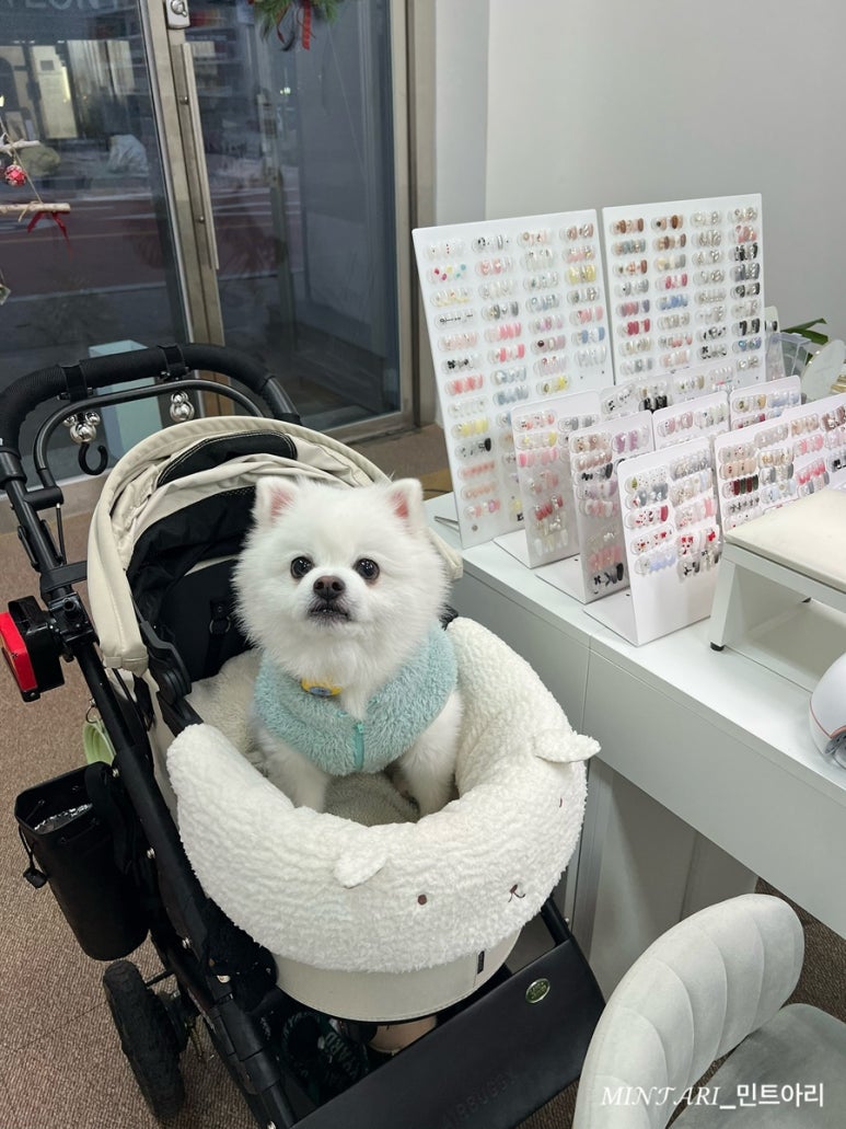 네일드엘라 이미지