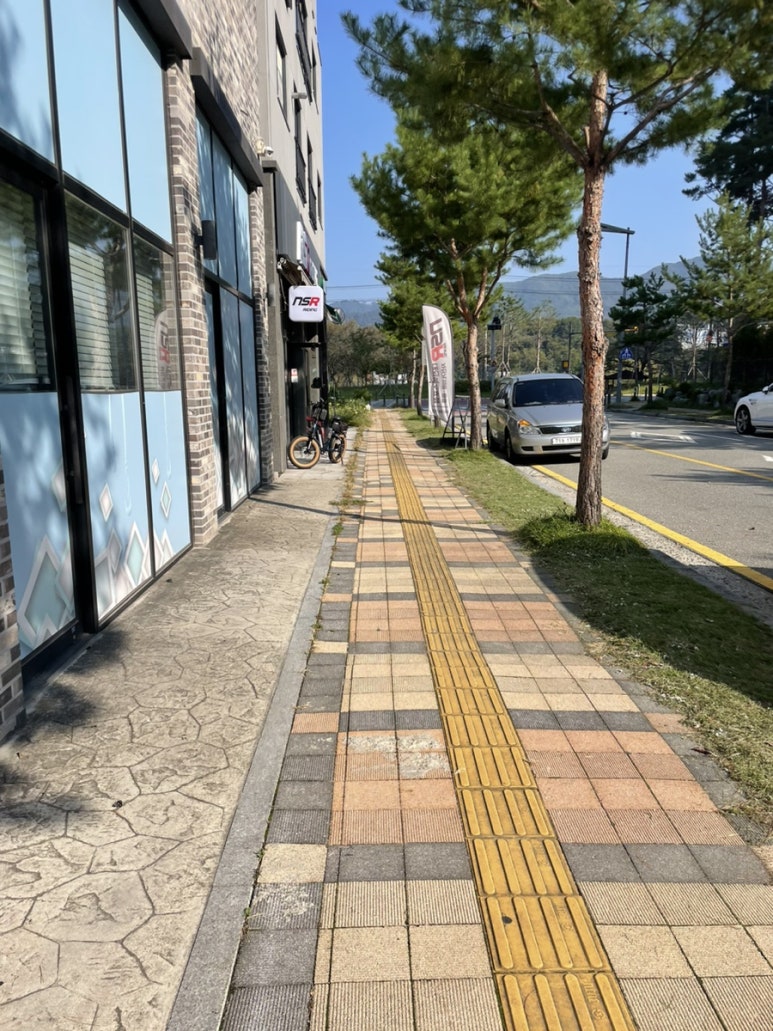 판태네 이미지