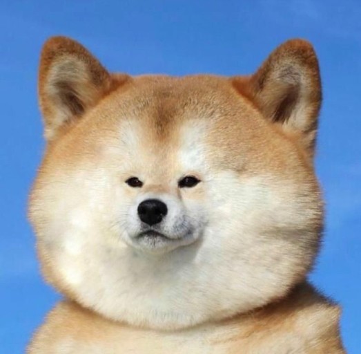 옐로우짐 이미지