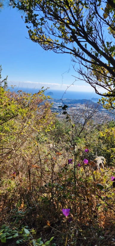 한라앤탐 이미지