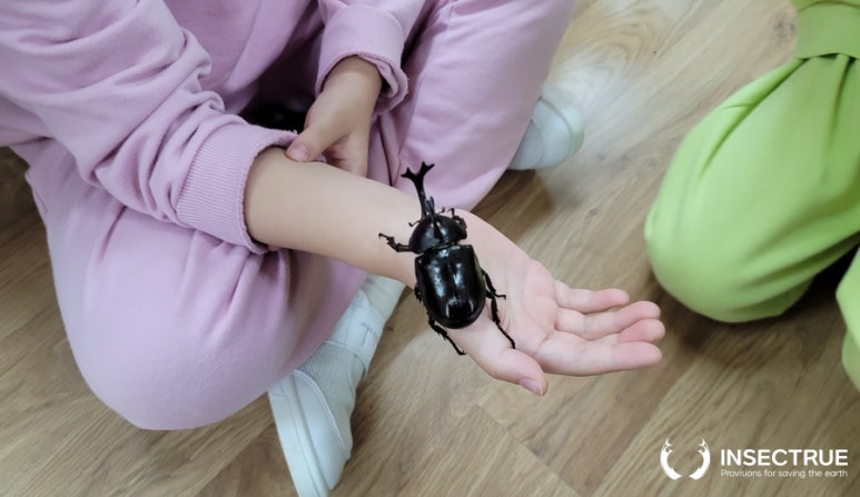 진영유치원 이미지