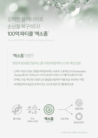 더샤인헤어.케어 이미지