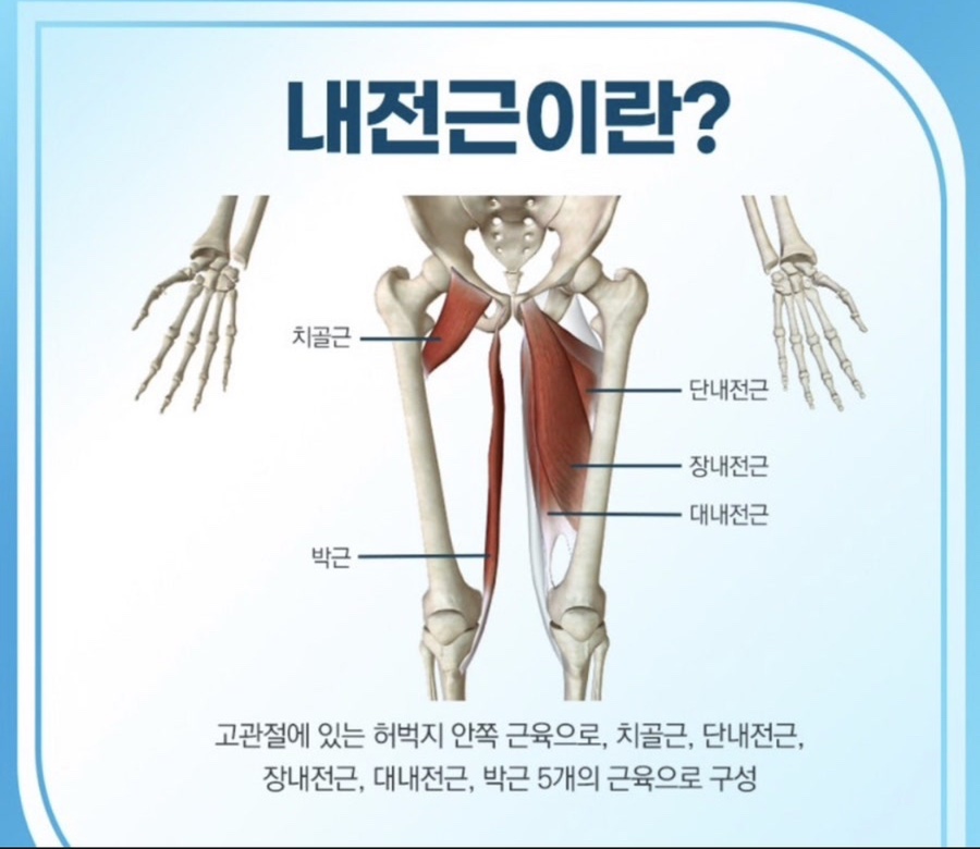 웨이트랩삼전역점 이미지