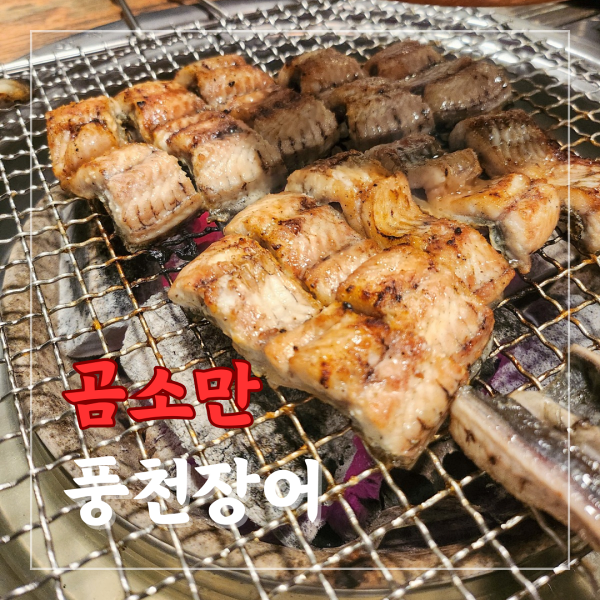 곰소만풍천장어 이미지