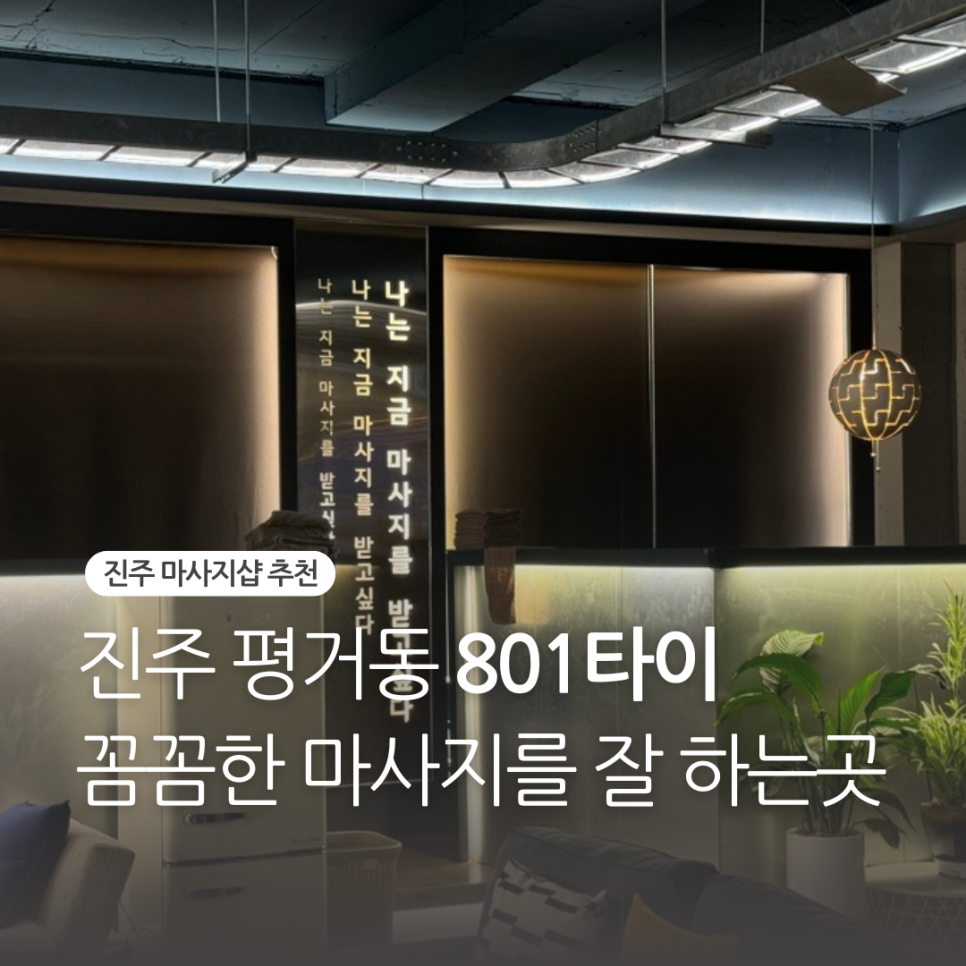 801타이아로마 이미지