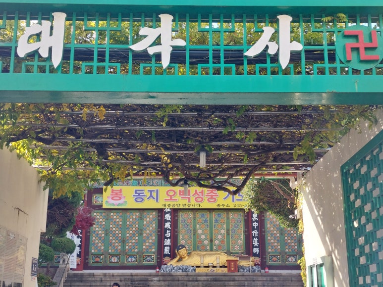 재단법인 대각문화원 이미지