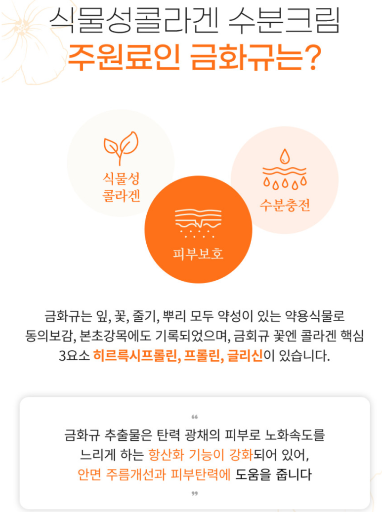 금화유 이미지