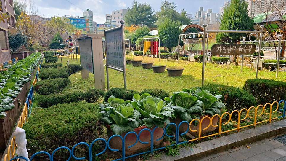 일곡초등학교 이미지