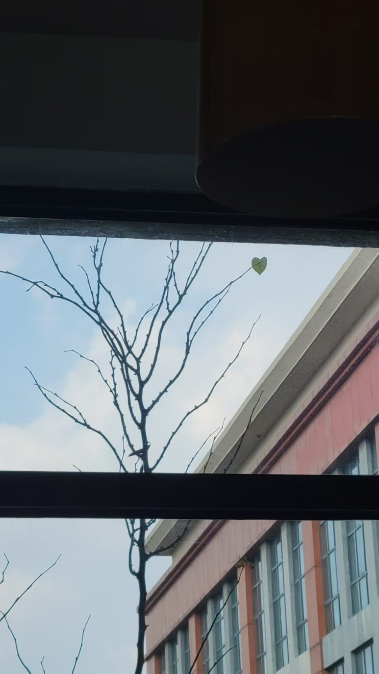 소주행 이미지