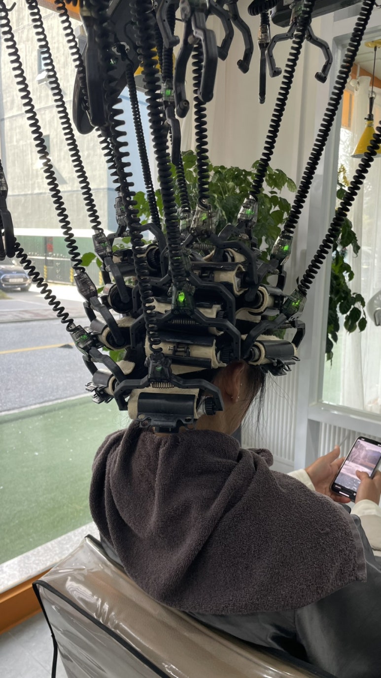 바이설 이미지