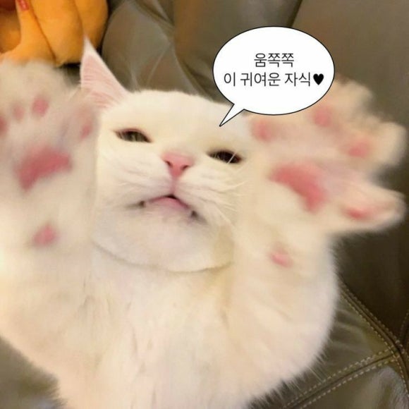 찍사유 이미지