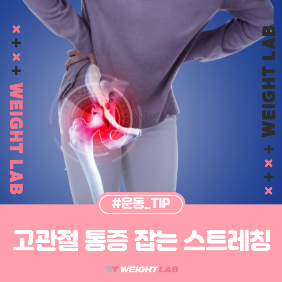 웨이트랩삼전역점 이미지
