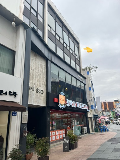 티에스오 이미지