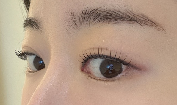다밀림 이미지