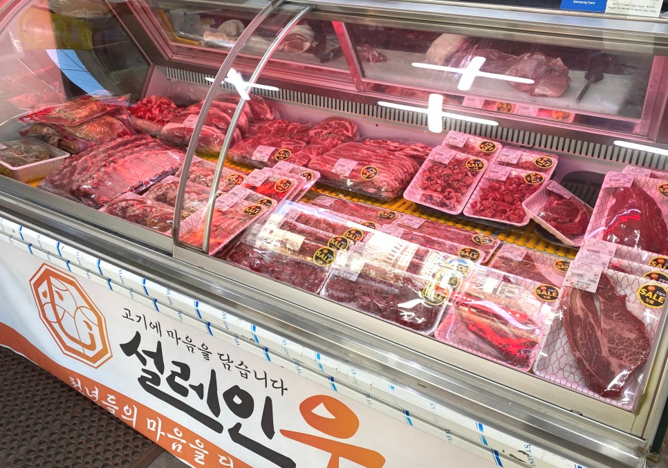 설레인우 고색점 이미지
