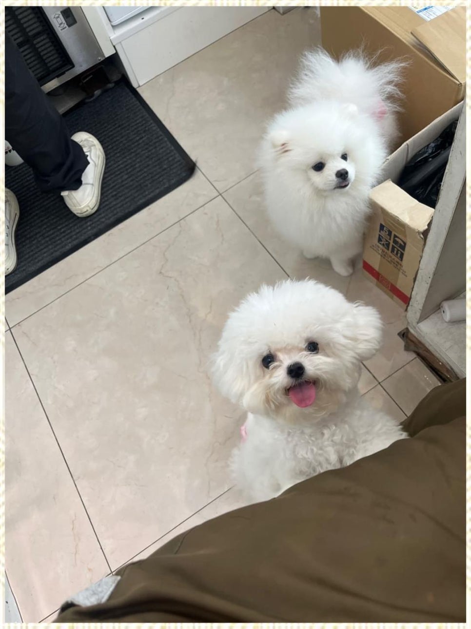 진헤어 이미지