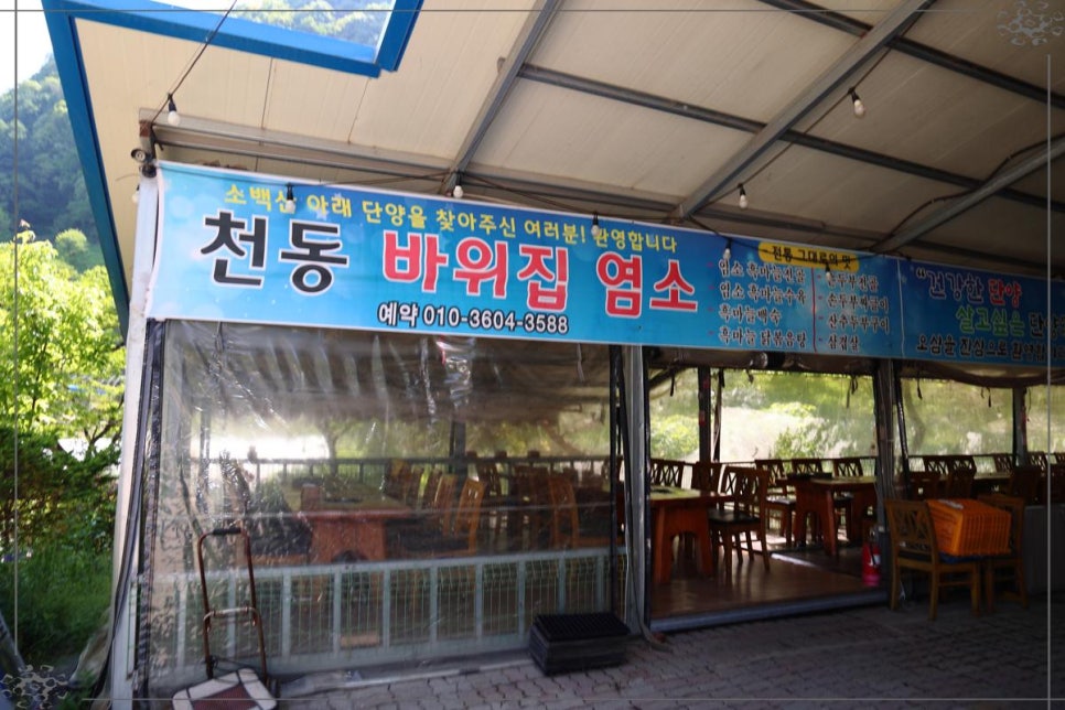 바위집염소 이미지