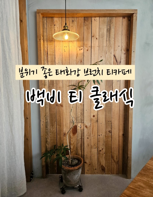 백비티클래식 이미지